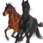Lil Nas X - Old Town Road (Remix) CHORDS