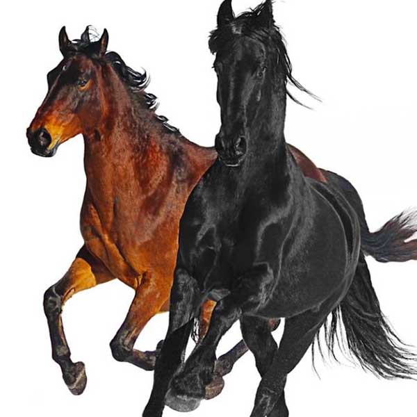Lil Nas X Old Town Road Remix Ft Billy Ray Cyrus Chords